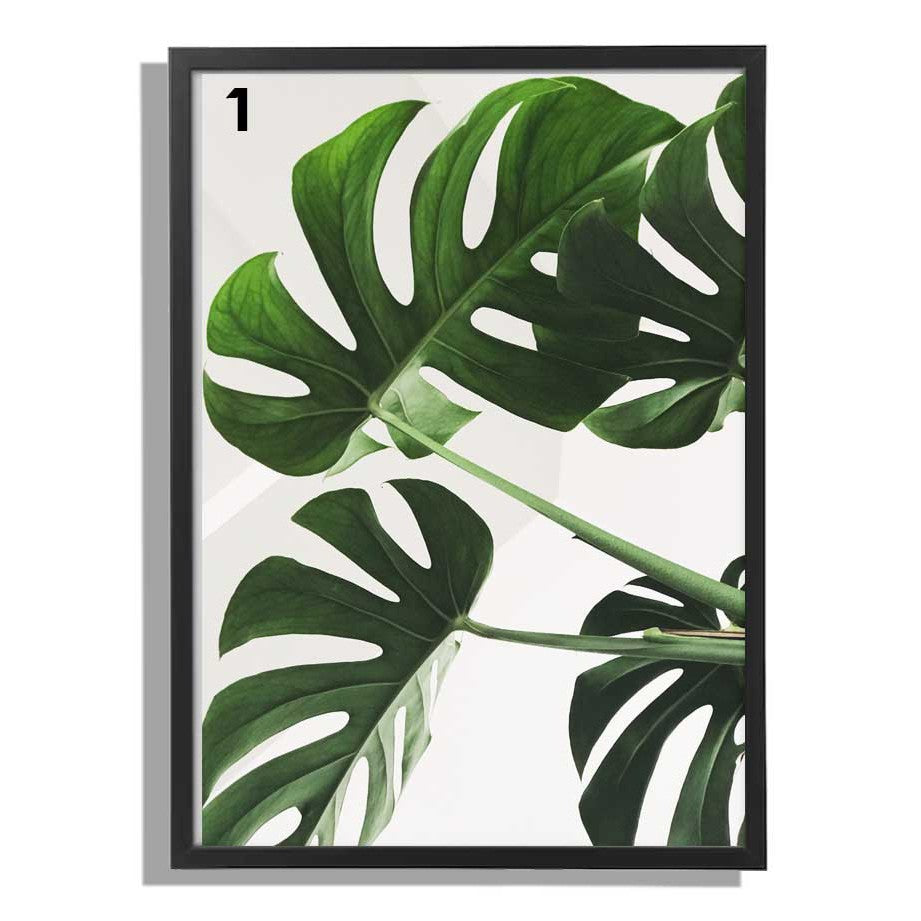 Ikea fiskbo wall deco 50 x 70cm including minimalist / modern alam cetak picture frame leaf design