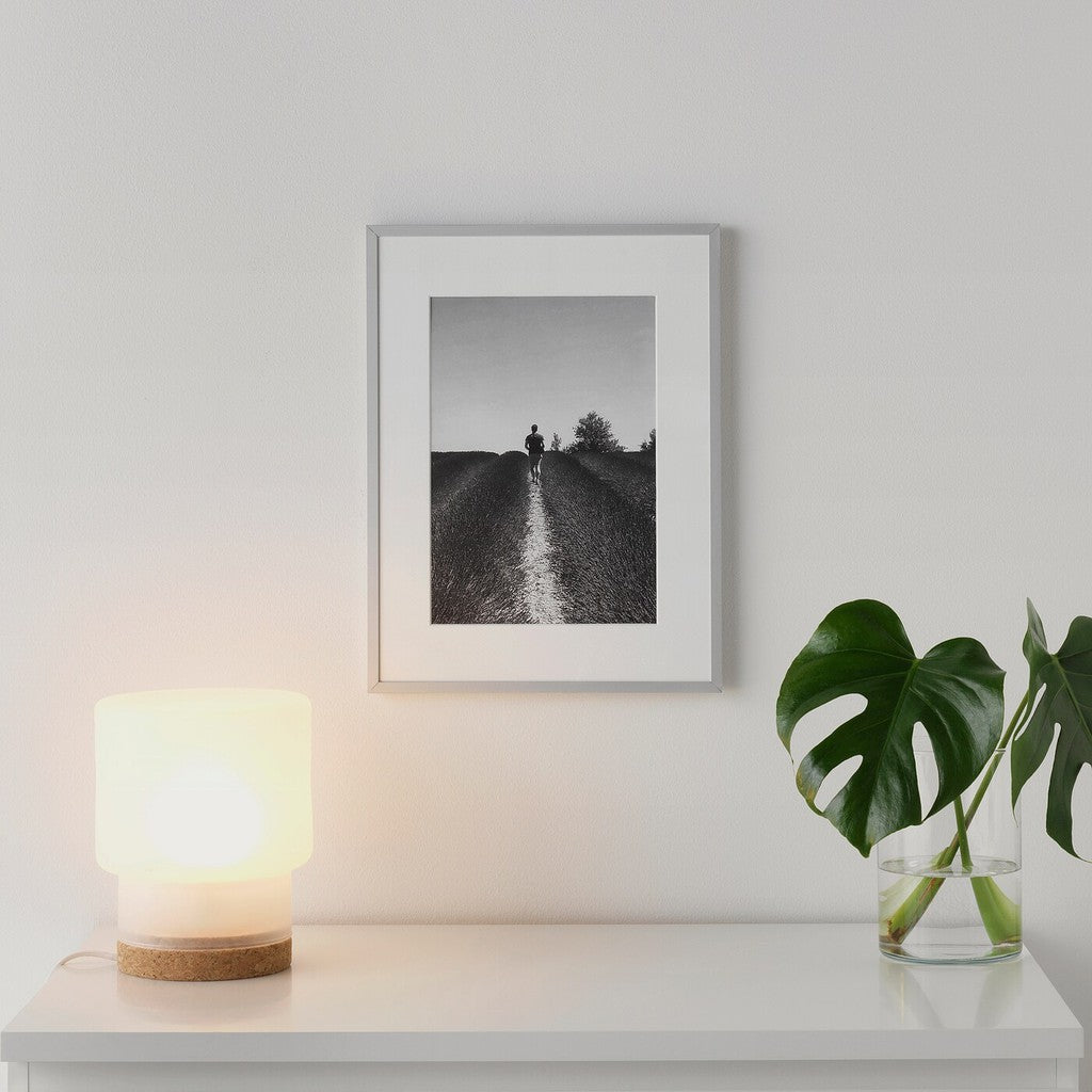 [Including Custom Photo Print Option] 30 x 40cm , 30x40 , 30x40cm Ikea Frame Gambar Lomviken