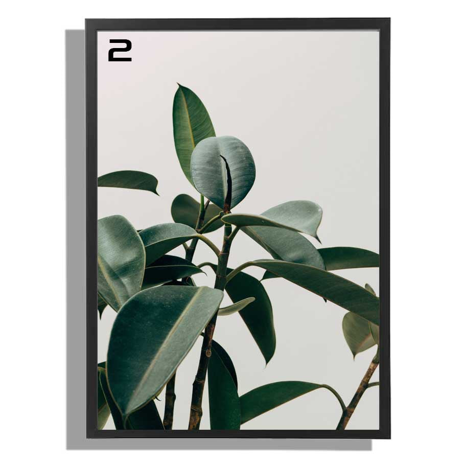 Ikea fiskbo wall deco 50 x 70cm including minimalist / modern alam cetak picture frame leaf design