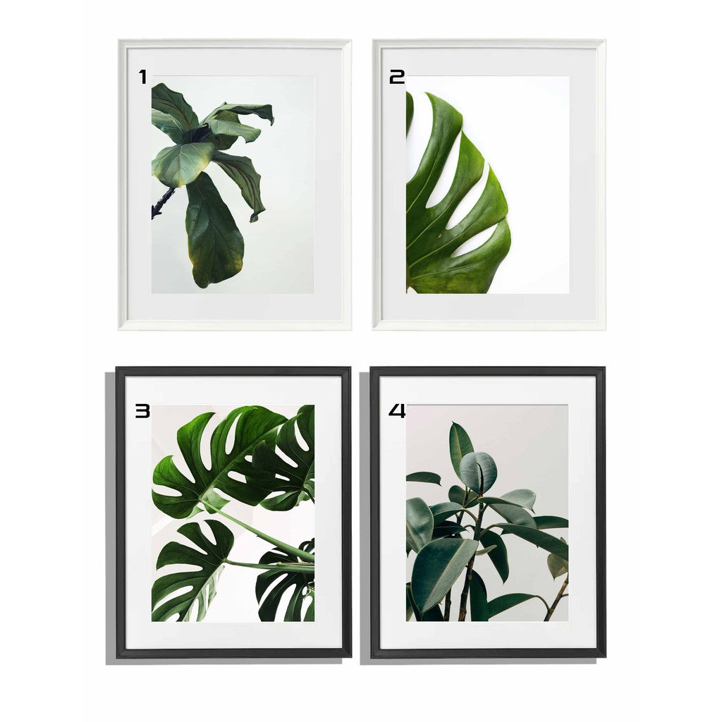 Ikea knoppang wall deco 40 x 50cm including minimalist / modern alam cetak picture frame leaf design