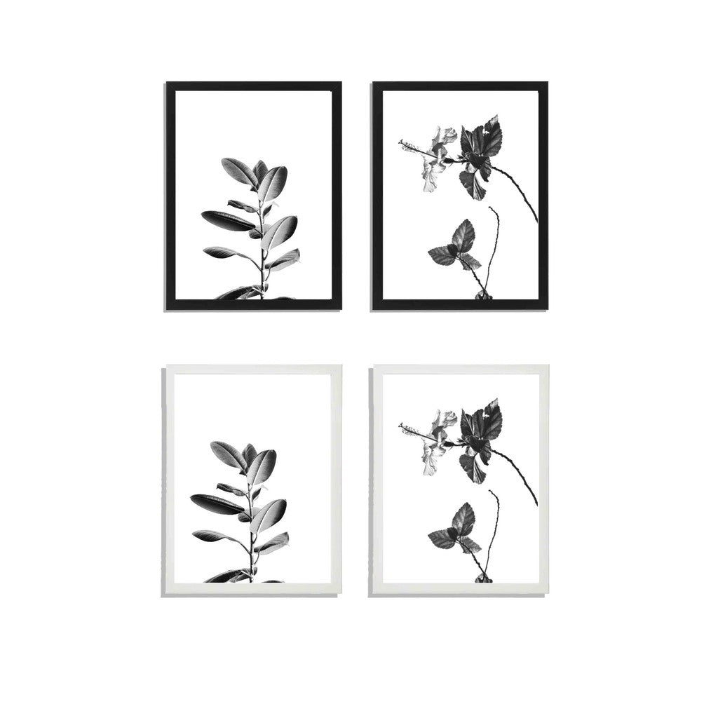 Ikea Fiskbo wall art deco 30 x 40cm including minimalist alam cetak picture photo frame leaf / nature design bedroom