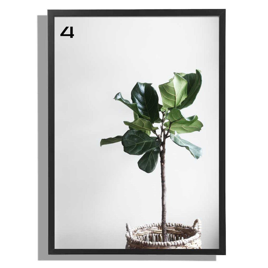 Ikea fiskbo wall deco 50 x 70cm including minimalist / modern alam cetak picture frame leaf design